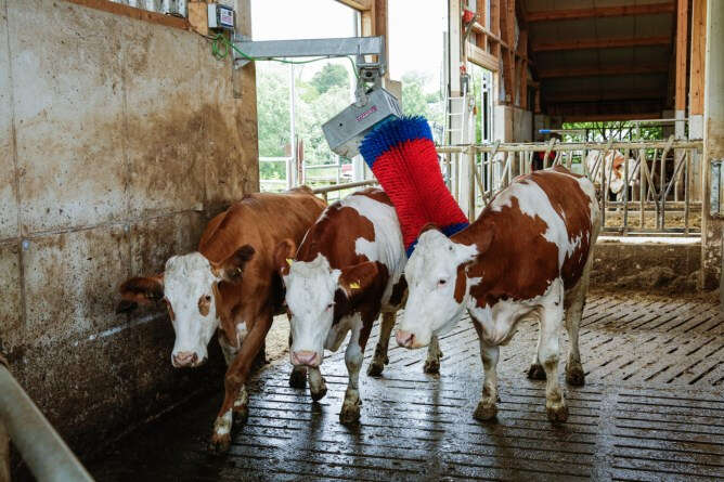 HAPPYCOW Kuhputzmaschine MaxiSwing